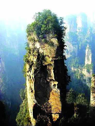 張家界國家地質森林公園、黃石寨、金鞭溪休閑一日游