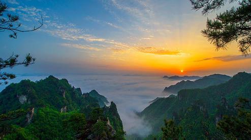 張家界森林公園（金鞭溪、袁家界、楊家界、天子山、十里畫廊）住山上2天1游（可看日出）